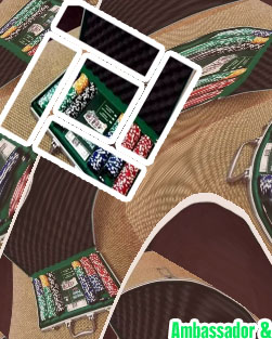 Propoker 300 piece poker set