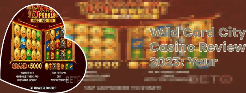 Wild card city casino
